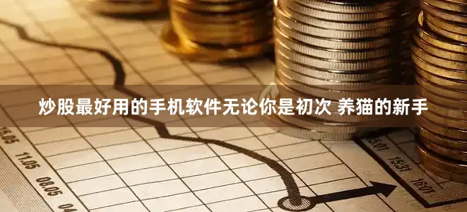 炒股最好用的手机软件无论你是初次 养猫的新手