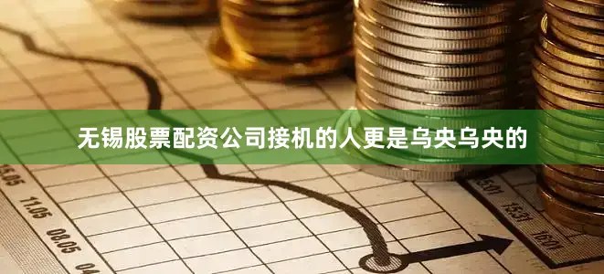 无锡股票配资公司接机的人更是乌央乌央的