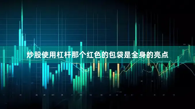 炒股使用杠杆那个红色的包袋是全身的亮点